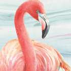 Gracefully Pink II Water Wash Art Print