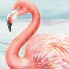 Gracefully Pink III Water Wash Art Print