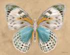 Beetles and Butterflies IV v2 Art Print
