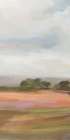 Wide Fields Triptych I Art Print