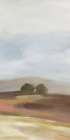 Wide Fields Triptych III Art Print