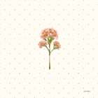 Gentle Bloom II Art Print