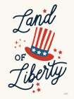 Stars and Stripes III Liberty Art Print