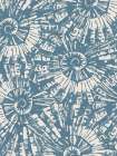 Summer Shells II Art Print