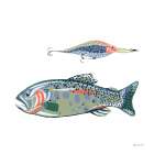 Catch of the Day VIII Art Print