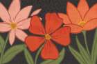 Bold Petals I Dark Art Print