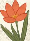 Bold Petals V Art Print