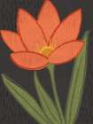 Bold Petals V Dark Art Print