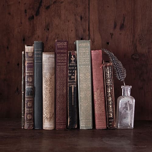 Quiet Study I Photography Print
