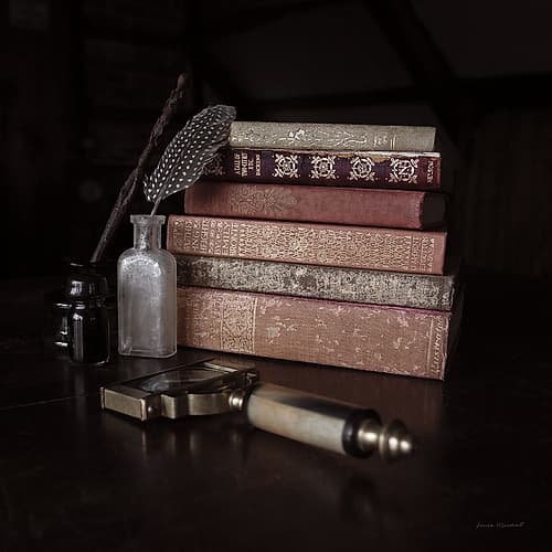 Quiet Study II Photography Print
