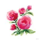 Spring is Blooming II Art Print