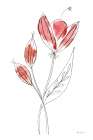 Line Flower I Art Print