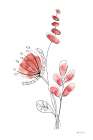 Line Flower II Art Print