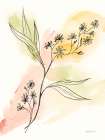 Illustrative Botanical I Art Print