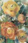 Blooming Splendor I Panel II Art Print