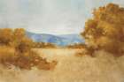 August Fields Orange Art Print