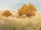 Meadowland v2 Art Print