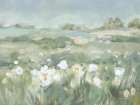 Field of White Art Print