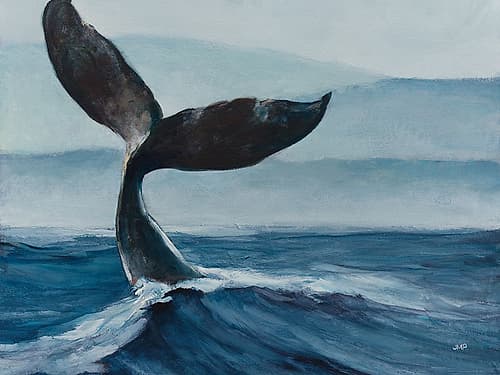Whale Tail Animals Print