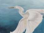 Flight of Fancy Art Print