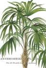 Riviera Palms II