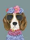 Regal Beagle v2