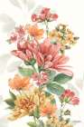 Amber Blossoms V Art Print