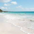 Summer Swim Art Print