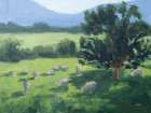 Country Cows Art Print