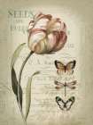 Mothers Treasure IV Vintage Art Print