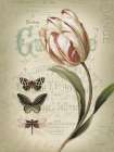 Mothers Treasure V Vintage Art Print