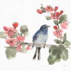 Bird and Blossoms I Art Print