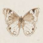 A Blue Note Butterfly I Art Print