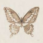 A Blue Note Butterfly II Art Print