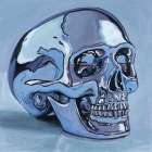 Silver Skull Study Art Print