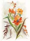 Autumn Bloom Art Print