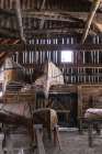 Canoe Barn III Coastal Print