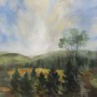 Forest at Sunrise Art Print