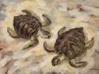 Sea Turtles on the Sand Art Print