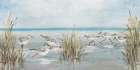Beach Birds I Art Print