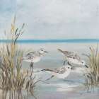 Beach Birds II Art Print