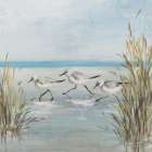 Beach Birds III Art Print