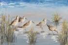 Sandpiper Stroll Art Print