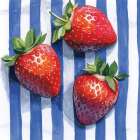 Stripe Cloth Berries Art Print