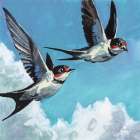 Two Birds in The Clouds Art Print