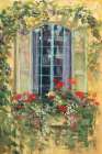 Window Box II Art Print