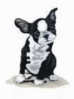 Puppy Rolls Art Print