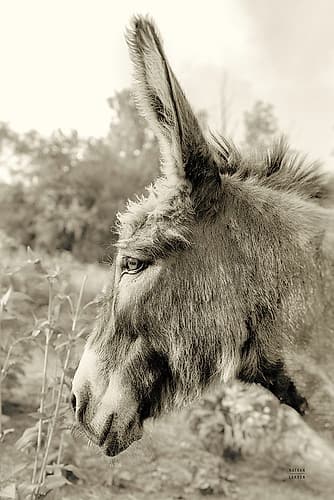 Donkey Profile Sepia Animals Print