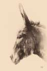 Donkey Portrait Sepia Minimalist Print