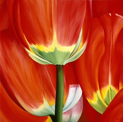 Most Beautiful Tulip I Européen reproduction